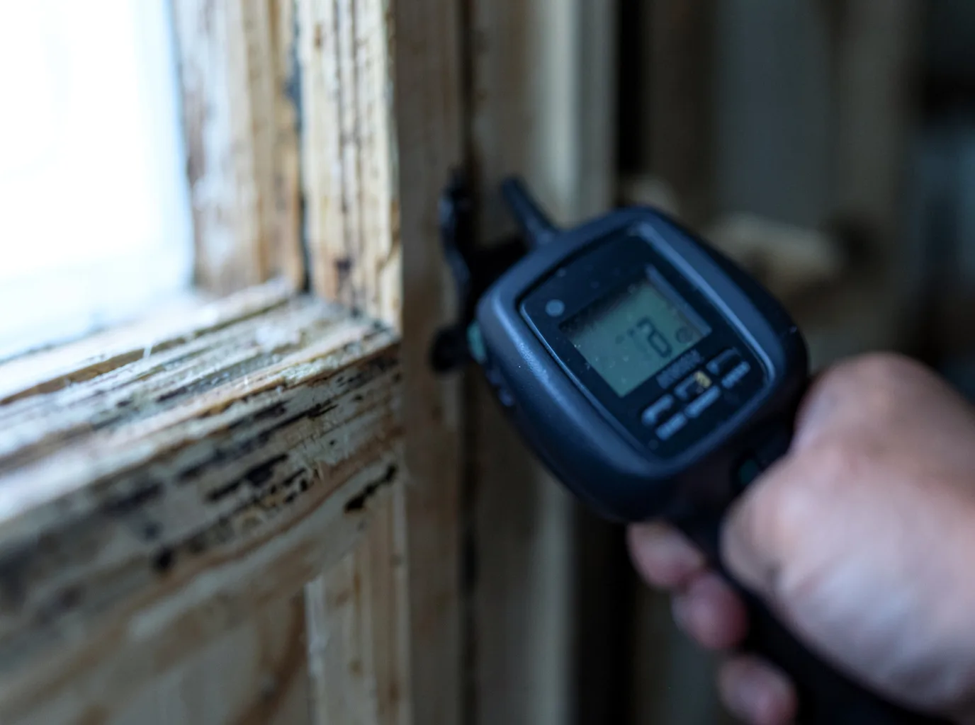 Commercial Water Damage Restoration in Pell Lake, WI